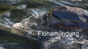 Flöhamündung Projekt Höselfilm und Luftbild Chemnitz